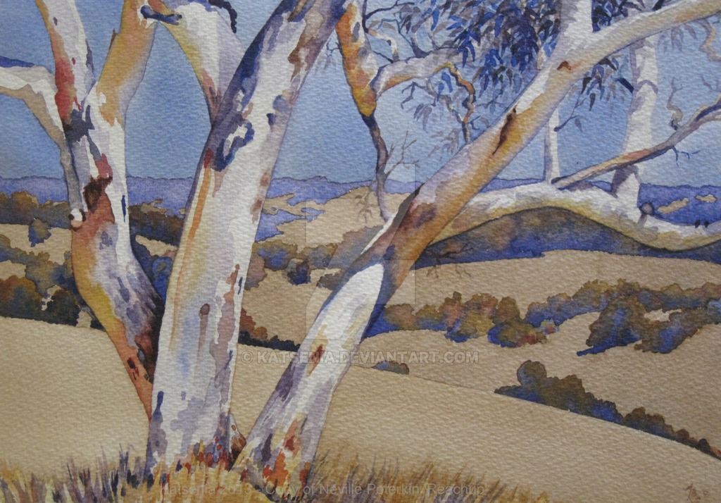 1024x714 Watercolour Of Australian Ghost Gum Tree By Katsenia - Australian Watercolour