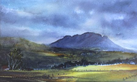448x269 Diabetes Australia, Tasmania, Raffle Prize Watercolour Evantart - Australian Watercolour