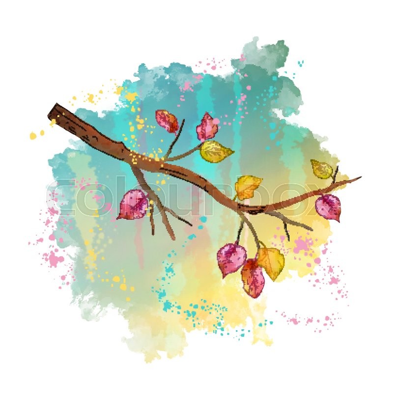 800x800 Watercolor Autumn Tree Branch On Painted Spot Background. Vector - Autumn Tree Watercolor