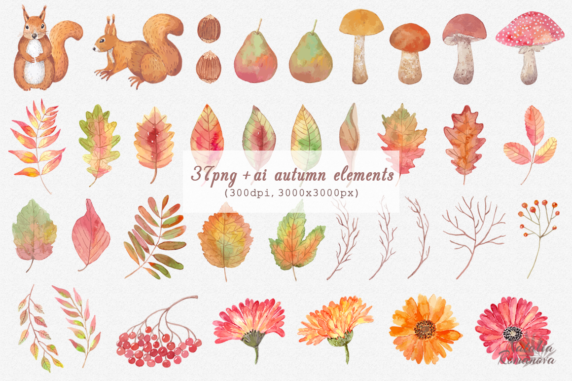 1160x772 Autumn Watercolor Collection On Behance - Autumn Watercolor