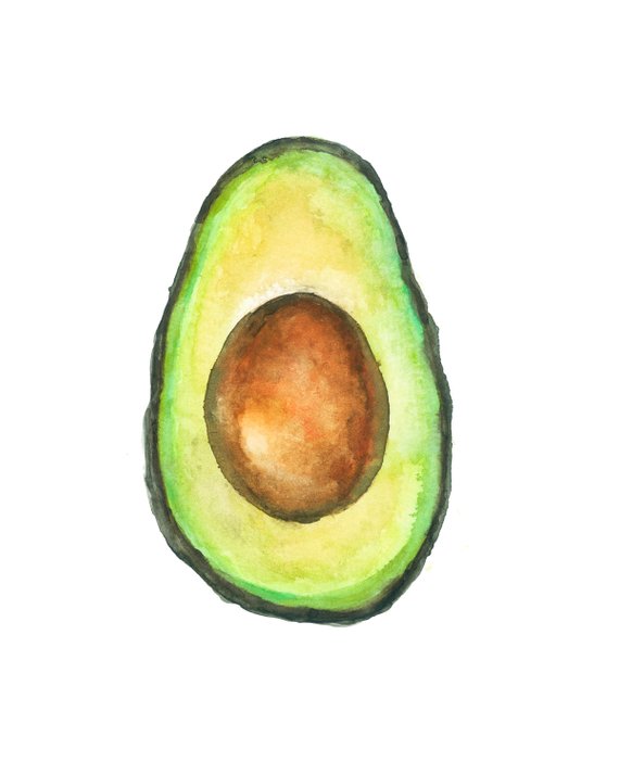 570x713 Avocado Watercolor Print Avocado Art Avocado Illustration Etsy - Avocado Watercolor