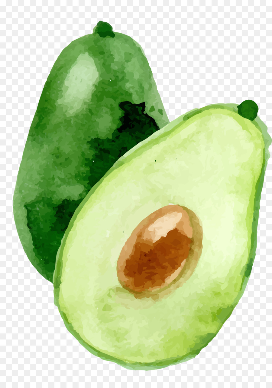 900x1280 Avocado Watercolor Painting - Avocado Watercolor
