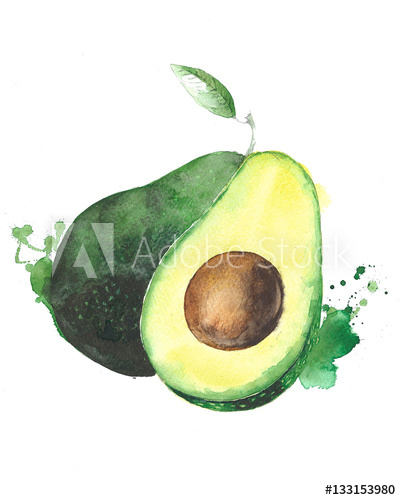 401x500 Avocado Fruit Watercolor Food Illustration Isolated On White - Avocado Watercolor
