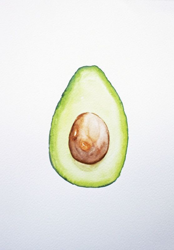 556x800 Avocado - Avocado Watercolor