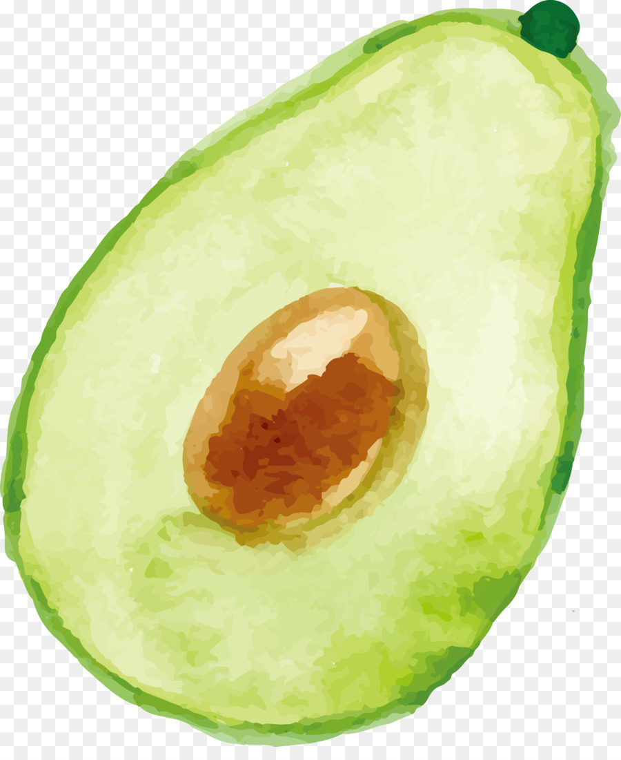 900x1100 Download Avocado Watercolor Painting Avocado Vector Watercolor - Avocado Watercolor