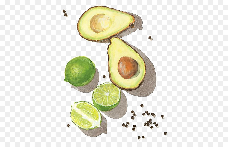 900x580 Mousse Watercolor Painting Avocado Drawing - Avocado Watercolor
