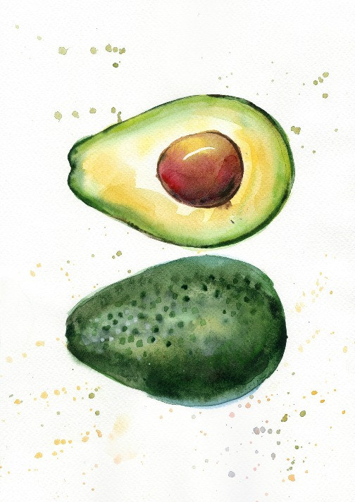 504x713 Set Of 4 Avocado Watercolor Print - Avocado Watercolor