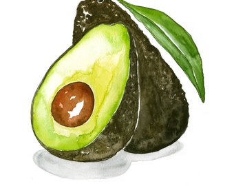 340x270 Watercolor Avocado Etsy - Avocado Watercolor