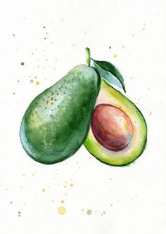 236x333 Avocado Art Print, Kitchen Art, Botanical Watercolor Print - Avocado Watercolor