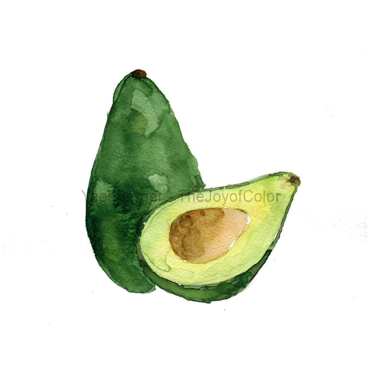 1228x1228 Avocado Painting Unique Avocado Study Number Three Avocado Art - Avocado Watercolor