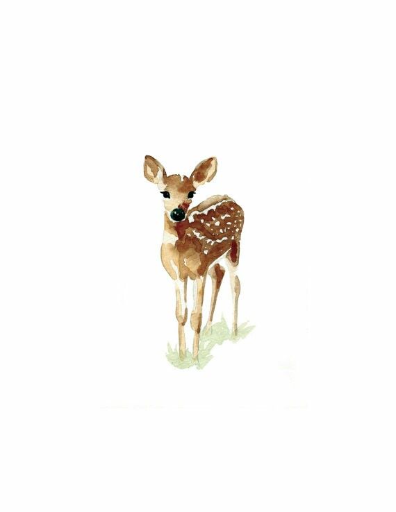 570x738 Baby Watercolor Deer Watercolor Dreams Watercolor - Baby Deer Watercolor