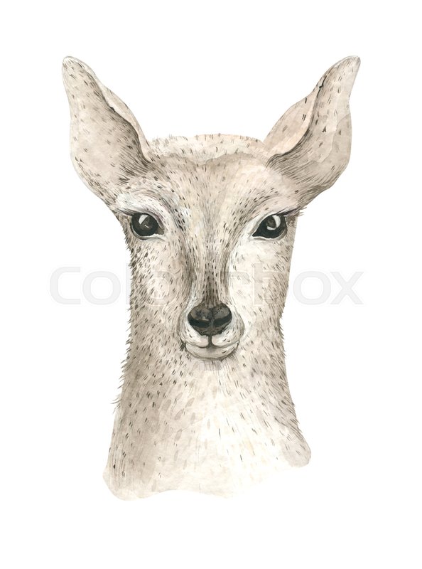 594x800 Merry Christmas Watercolor Card With Little Fawl. Baby Deer Happy - Baby Deer Watercolor