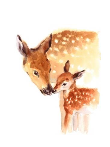 366x488 Mother And Baby Deer Watercolor Prints By Cmwatercolors - Baby Deer Watercolor