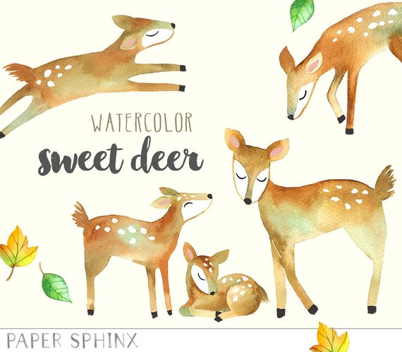 570x499 Watercolor Deer Clipart Mommy And Baby Deer Woodland Animals Etsy - Baby Deer Watercolor