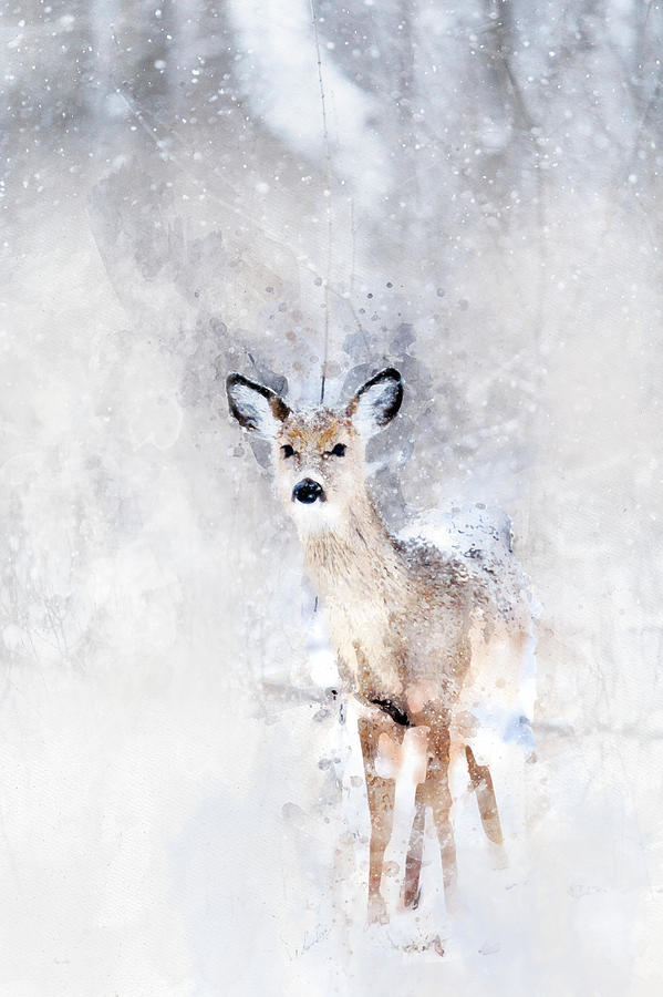 599x900 Baby Deer In The Snow Watercolor Painting By Mata - Baby Deer Watercolor