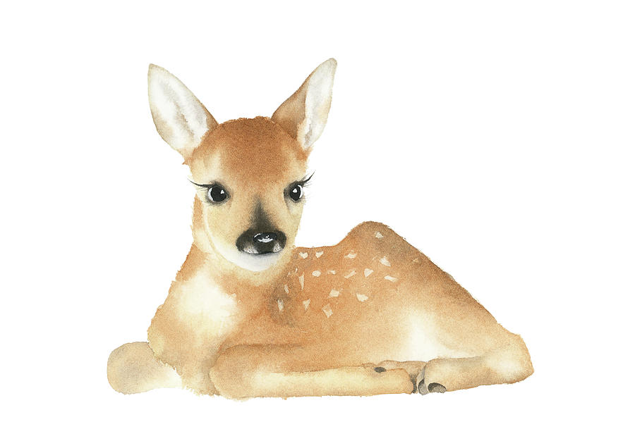 900x636 Baby Deer Watercolor Painting By Zapista - Baby Deer Watercolor
