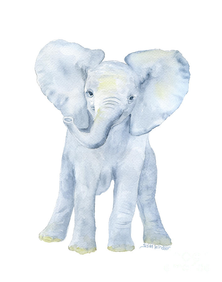 707x900 Baby Elephant Watercolor Painting By Susan Windsor - Baby Elephant Watercolor
