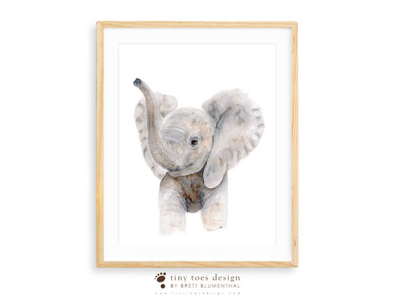 570x438 Large Nursery Art Elephant Watercolor Print Baby Elephant Etsy - Baby Elephant Watercolor