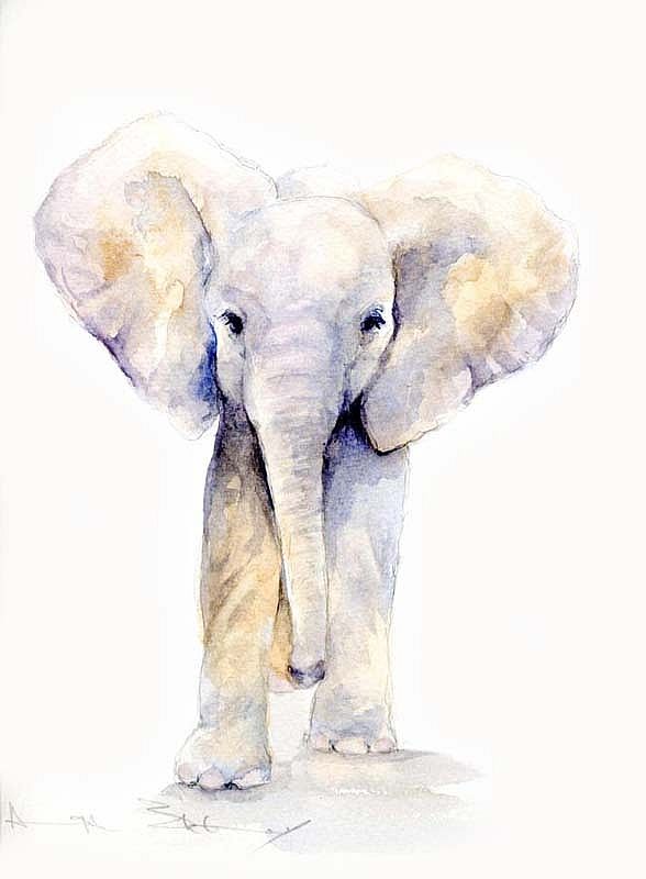 588x800 The David Sheldrick Wildlife Trust - Baby Elephant Watercolor