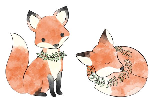 631x424 Entry - Baby Fox Watercolor