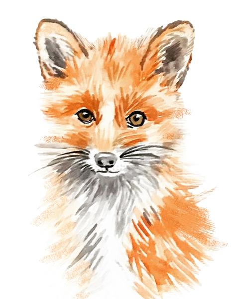 480x600 Watercolor Art Print - Baby Fox Watercolor