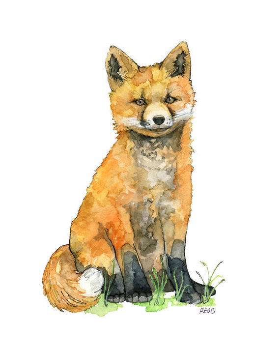 570x712 Watercolor Baby Fox Painting Print Titled Baby Etsy - Baby Fox Watercolor