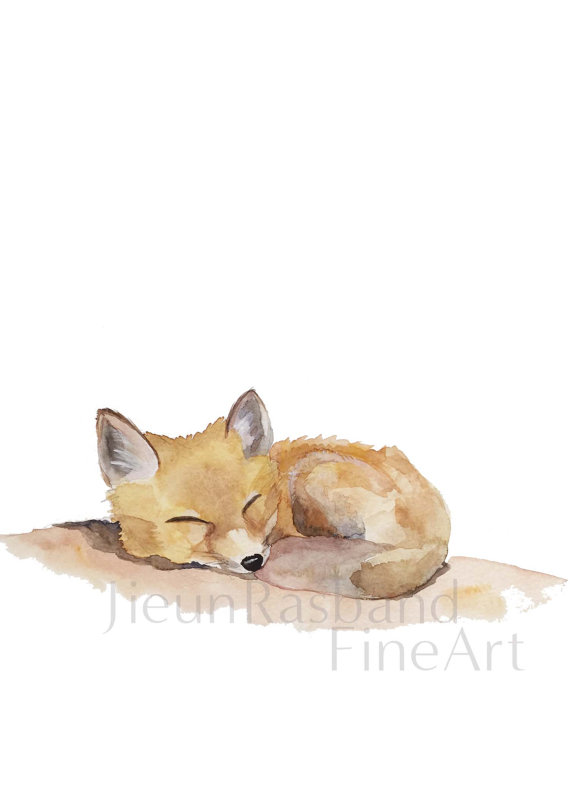 570x798 Sleeping Baby Fox Instant Print Printable By Jieunrasbandfineart - Baby Fox Watercolor