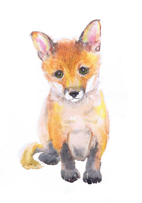 570x814 Baby Fox Art Watercolor Painting, Baby Prints Boy Girl Nursery - Baby Fox Watercolor