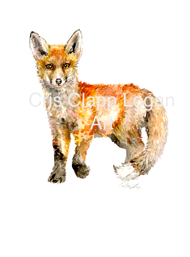 Baby Fox Watercolor at PaintingValley.com | Explore collection of Baby ...