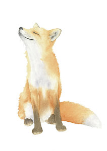 212x300 Baby Fox Paintings - Baby Fox Watercolor