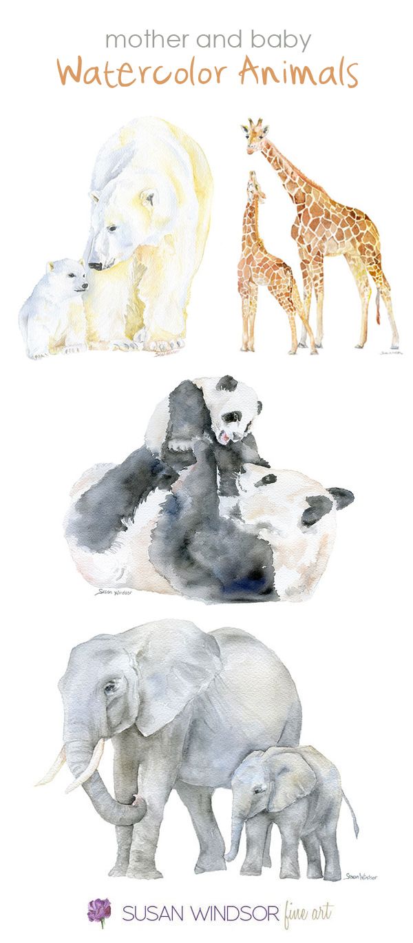 600x1369 Watercolor Animals - Baby Watercolor
