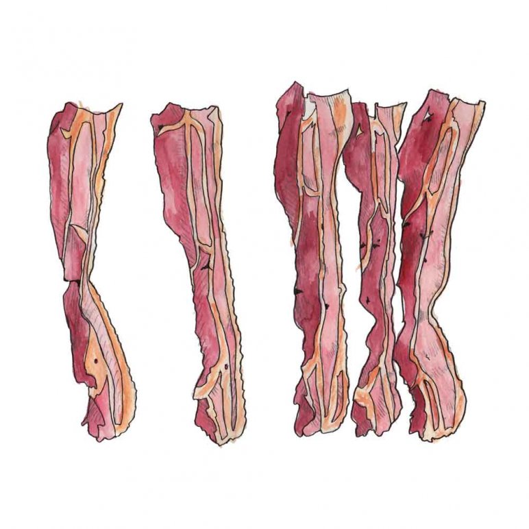 772x772 Bacon Art Print Bacon Bootlegger - Bacon Watercolor