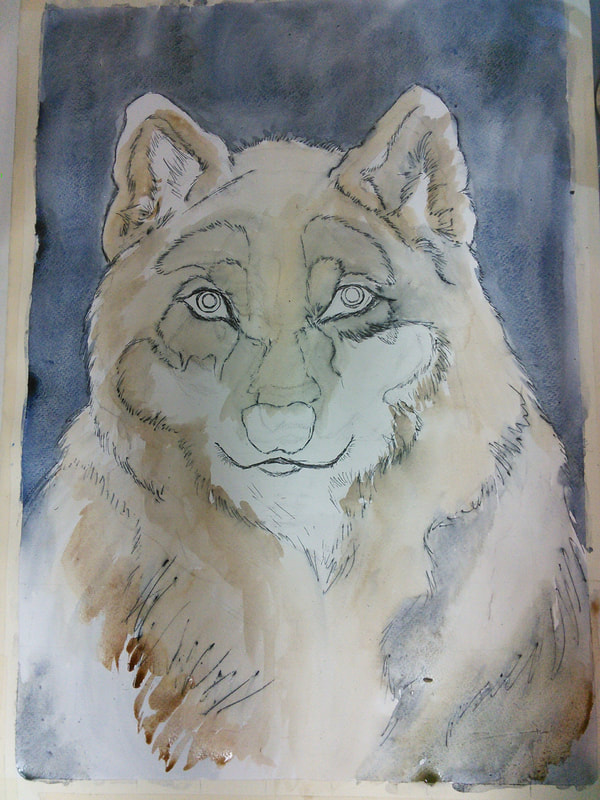 600x800 Big Bad Wolf Watercolor And Pen - Bad Watercolor