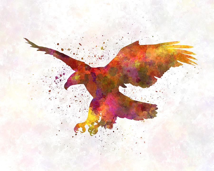 900x720 Bald Eagle 01 In Watercolor Painting By Pablo Romero - Bald Eagle Watercolor