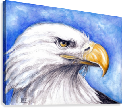 429x382 Bald Eagle Attitude Watercolor - Bald Eagle Watercolor