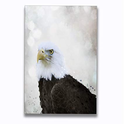 425x425 Bald Eagle Watercolor Aluminum Metal Photo Print Wall - Bald Eagle Watercolor