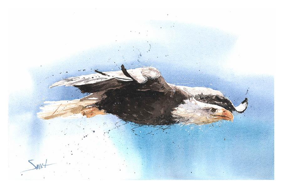 900x600 Bald Eagle Watercolor Print Watercolor Animal Paintings - Bald Eagle Watercolor