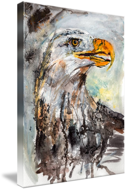 431x650 Bald Eagle Wildlife Watercolor By Ginette Callaway - Bald Eagle Watercolor