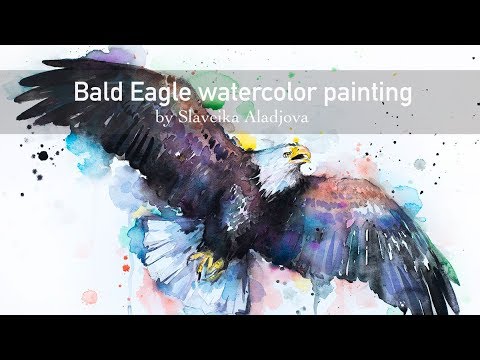 480x360 Bald Eagle Watercolor Painting By Slaveika Aladjova, Sped Up - Bald Eagle Watercolor