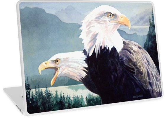 558x400 Vigilance Bald Eagle Watercolor Laptop Skins By Paul Jackson - Bald Eagle Watercolor