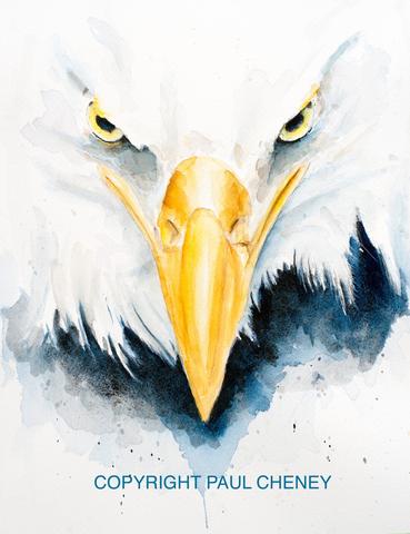 369x480 Bald Eagle Art - Bald Eagle Watercolor