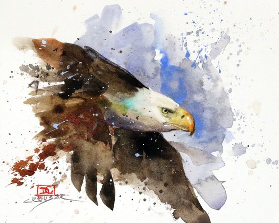 570x456 Bald Eagle Watercolor Bird Print By Dean Crouser Etsy - Bald Eagle Watercolor