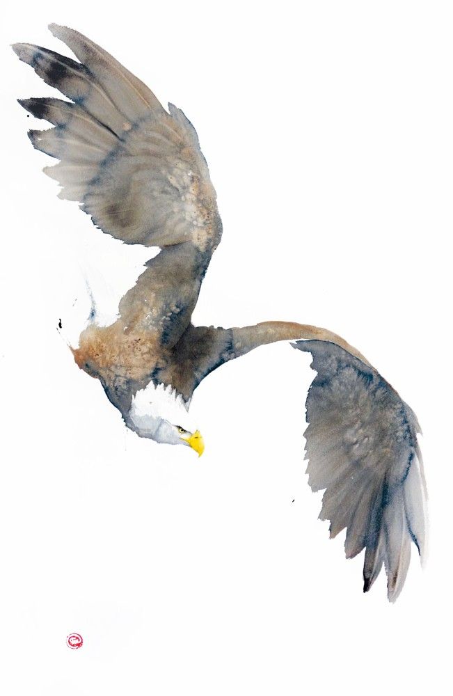 651x1000 Bald Eagle - Bald Eagle Watercolor
