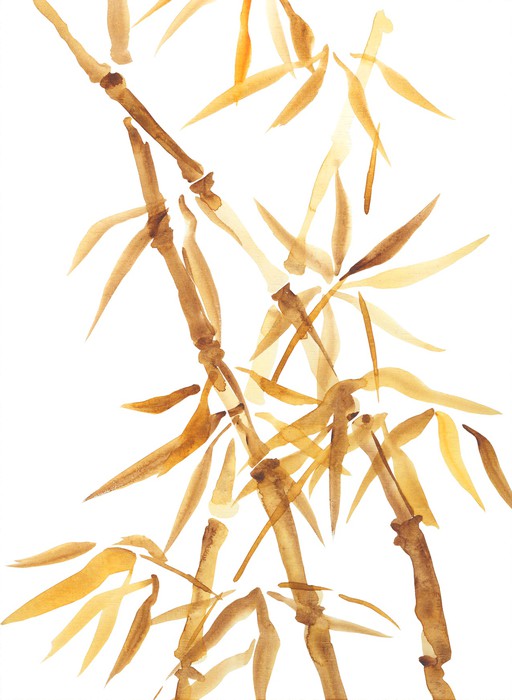 512x700 Bamboo Watercolor Asian Style Painting Wall Mural We - Bamboo Watercolor