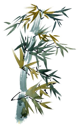 326x530 Bamboo Watercolor Illustration Stock Vectors - Bamboo Watercolor