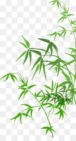 260x480 Free Download Bamboo Watercolor Painting - Bamboo Watercolor