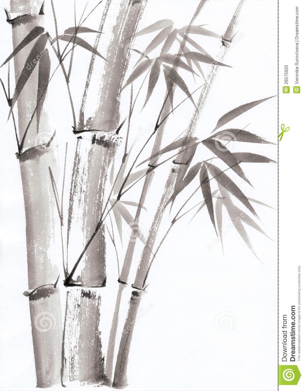 1013x1300 Watercolor Painting Of Bamboo - Bamboo Watercolor