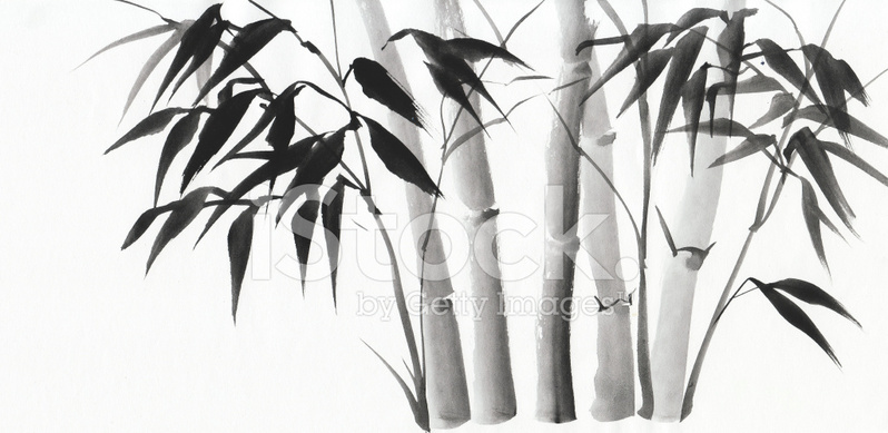 798x389 Watercolor Painting Of Bamboo Stock Photos - Bamboo Watercolor