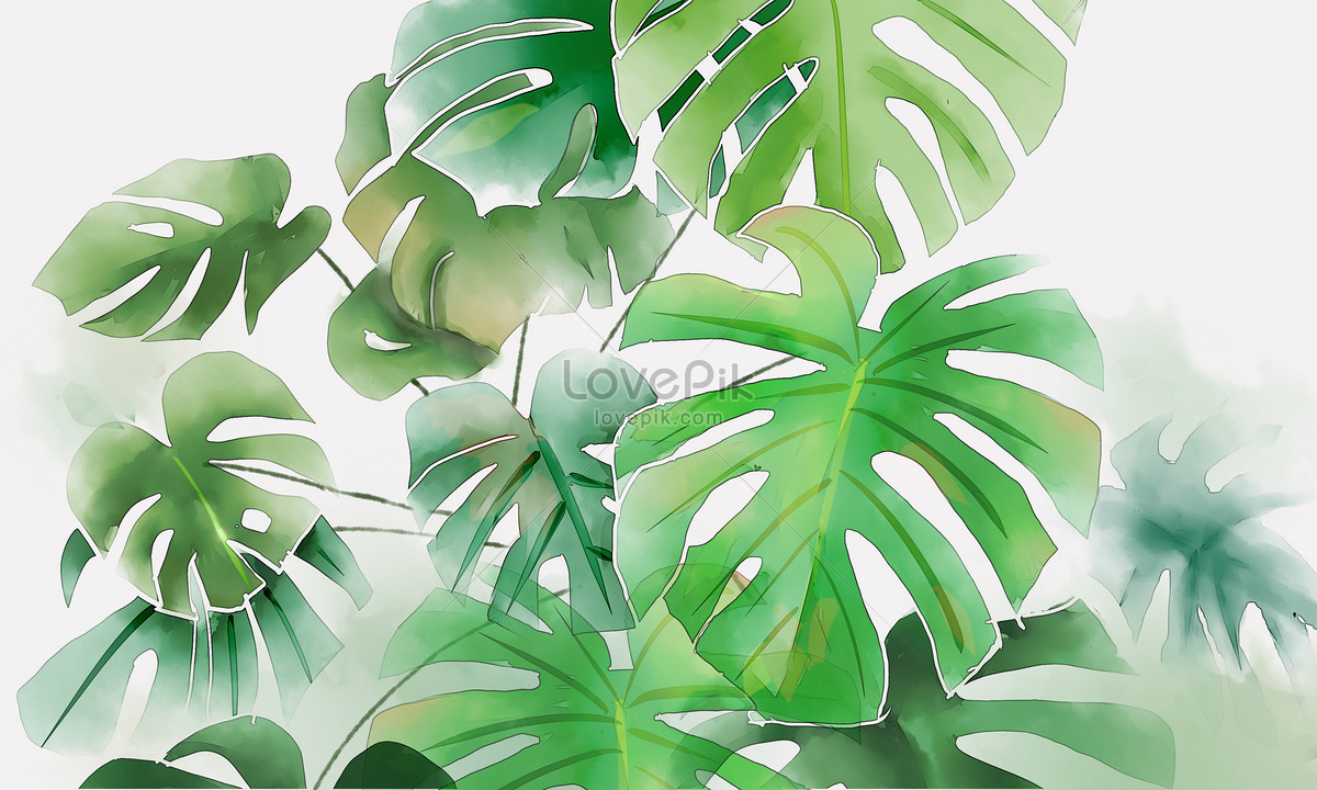 1200x720 Watercolor Tortoise Back Bamboo Photo Image Picture Free Download - Bamboo Watercolor