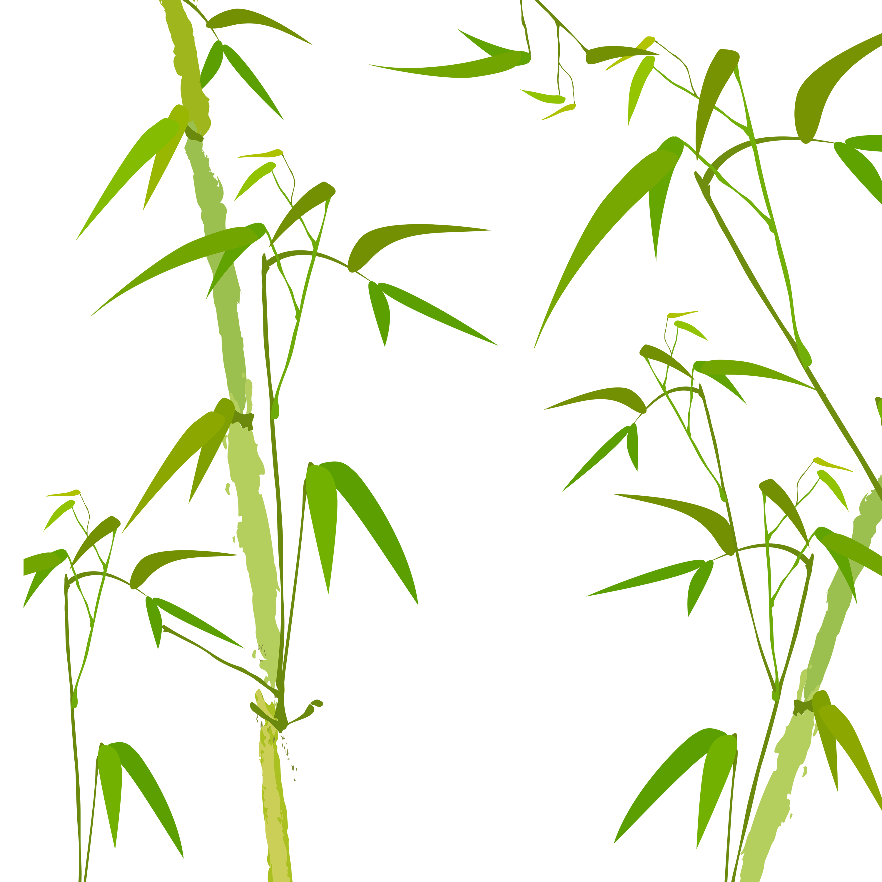 Bamboo Watercolor Painting at Explore collection